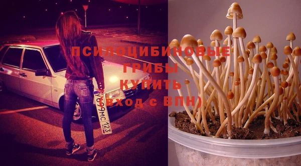 альфа пвп Краснослободск
