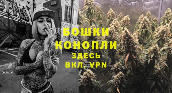 альфа пвп Краснослободск