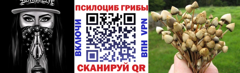 Купить где  Сызрань  Псилоцибиновые грибы мухоморы 