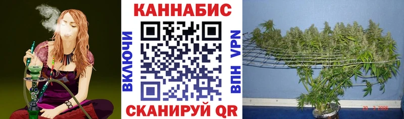 Купить  Сызрань  МАРИХУАНА планчик 